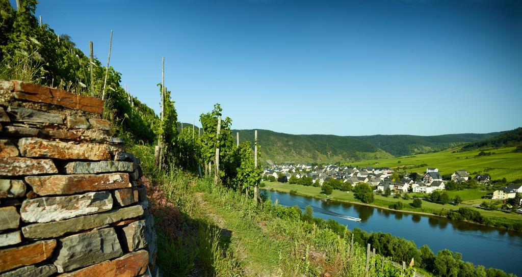 Ferienhaus Zenz - Ferienwohungen Ernst Zewnętrze zdjęcie