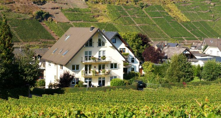 Ferienhaus Zenz - Ferienwohungen Ernst Zewnętrze zdjęcie